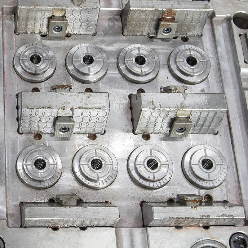 DSC_3118-1 DSC_3118-1